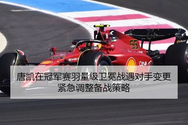 唐凯在冠军赛羽量级卫冕战遇对手变更 紧急调整备战策略